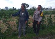 Ketahanan Pangan Dimulai dari Desa, Inisiatif Bhabinkamtibmas di Dusun Beremi Kuripan