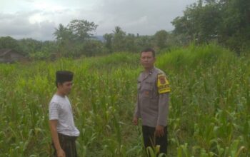 Ketahanan Pangan dan Keamanan Diperkuat di Sekotong Tengah Lewat DDS Bhabinkamtibmas