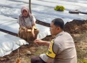 Sinergi Polisi-Petani di Dusun Gersik Asri Demi Ketahanan Pangan NTB