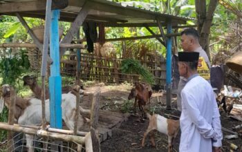 Kolaborasi Polri dan Warga Krandangan Bangun Ketahanan Pangan Lokal