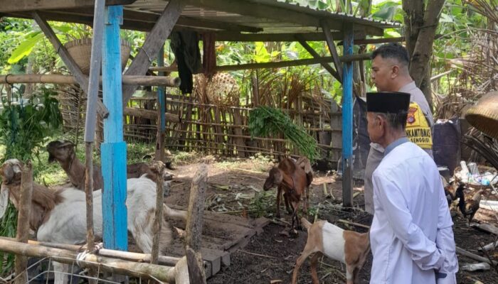 Kolaborasi Polri dan Warga Krandangan Bangun Ketahanan Pangan Lokal