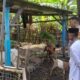 Kolaborasi Polri dan Warga Krandangan Bangun Ketahanan Pangan Lokal