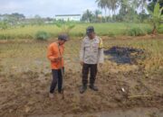 Polsek Kediri Aktif Pantau Ketahanan Pangan dan Lingkungan di Tengah Cuaca Ekstrem