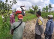 Sinergi Petani dan Polisi di Kediri Lombok Barat, Wujudkan Swasembada Jagung
