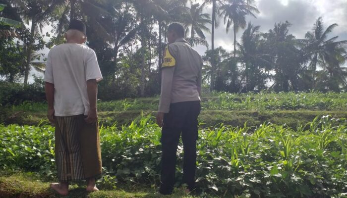 Polisi Ajak Warga Mareje Tanam Pangan Sendiri