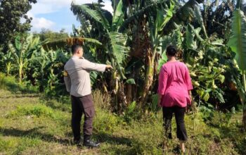 Sinergi Polri dan Warga Gelogor Perkuat Swasembada Pangan
