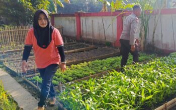 Optimalisasi Pekarangan, Polri dan Warga Kuripan Utara Sinergi Wujudkan Swasembada Pangan