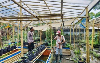 Bhabinkamtibmas Ajak Warga Dusun Tempit Tanam Sayur di Pekarangan Rumah