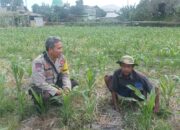 Dorong Ketahanan Pangan, Bhabinkamtibmas Desa Sandik Ajak Warga Manfaatkan Pekarangan