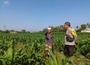 Wujudkan Ketahanan Pangan, Bhabinkamtibmas Sandik Dorong Pemanfaatan Lahan Kosong