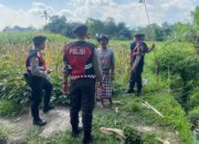 Sat Samapta Polres Lobar Patroli Pertanian di Kebon Ayu