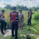 Polisi Lakukan Patroli Tanam Jagung di Dusun Kelebut untuk Dukung Swasembada Pangan