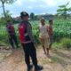 Polres Lobar Kawal Petani Wujudkan Ketahanan Pangan Nasional