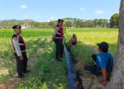 Polres Lombok Barat Pantau Lahan Jagung di Desa Tempos untuk Dukung Swasembada Pangan