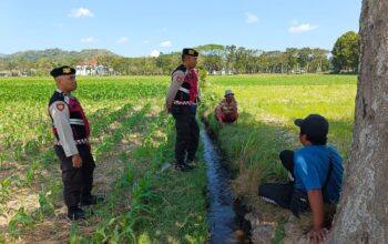 Polres Lombok Barat Pantau Lahan Jagung di Desa Tempos untuk Dukung Swasembada Pangan