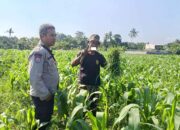 Polsek Batulayar Ajak Warga Perempung Manfaatkan Lahan untuk Ketahanan Pangan