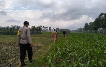 Polsek Kediri Bersama Bhabinkamtibmas dan PPL Pertanian Tingkatkan Ketahanan Pang