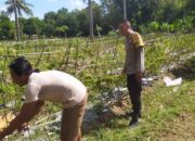 Polsek Sekotong Ajak Petani Dusun Berambang Tingkatkan Ketahanan Pangan