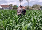 Bhabinkamtibmas Desa Kuripan Dorong Pemanfaatan Lahan Kosong untuk Swasembada Pangan