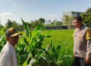 Polsek Labuapi Ajak Petani Telagawaru Maksimalkan Lahan Rumah