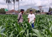 Bhabinkamtibmas Kuripan Ajak Warga Dusun Due Pelet Wujudkan Ketahanan Pangan