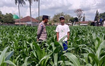 Bhabinkamtibmas Kuripan Ajak Warga Dusun Due Pelet Wujudkan Ketahanan Pangan