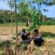 Dukung Ketahanan Pangan, Bhabinkamtibmas Lembar Beri Semangat Petani Jagung di Eyat Mayang