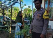 Sinergi Polri dan Masyarakat di Senggigi: Ketahanan Pangan Dimulai dari Rumah