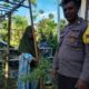 Sinergi Polri dan Masyarakat di Senggigi: Ketahanan Pangan Dimulai dari Rumah