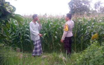 Polisi dan Petani Desa Jagaraga Bersinergi Wujudkan Ketahanan Pangan Lokal