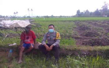 Sinergi Polri dan Petani di Dusun Tambang Eleh, Lombok Barat Wujudkan Desa Mandiri Pangan
