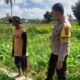 Bhabinkamtibmas Sambangi Petani di Gelogor, Dorong Produktivitas Jagung Lombok Barat