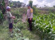 Ketahanan Pangan Dimulai dari Desa: Inisiatif Bhabinkamtibmas Jagaraga