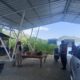Sinergi Polisi dan Warga: Patroli Dialogis di Ekowisata Mangrove Sekotong Berjalan Lancar