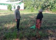Edukasi Ketahanan Pangan, Bhabinkamtibmas Kuranji Gandeng Petani Lokal