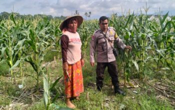Polsek Labuapi Bangun Kesadaran Pangan Mandiri di Karang Kebon