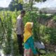 Ketahanan Pangan Diperkuat, Bhabinkamtibmas Desa Labuapi Ajak Warga Produktif
