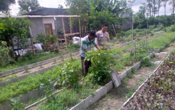 Dukungan Polri Bagi Petani Dusun Tegal: Langkah Nyata Kemandirian Pangan Jagaraga