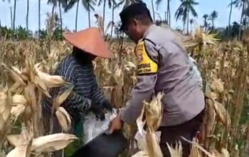 Sambang Desa di Lombok Barat: Bhabinkamtibmas Dorong Warga Jual Hasil Panen ke Bulog