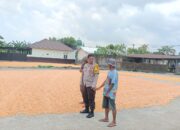 Sinergi Polri dan Pengusaha Lokal Jaga Pasokan Jagung di Lombok Barat