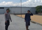 Gudang Jagung CV Galatia Disorot Polisi, Dukungan ke Bulog Jadi Harapan Bersama