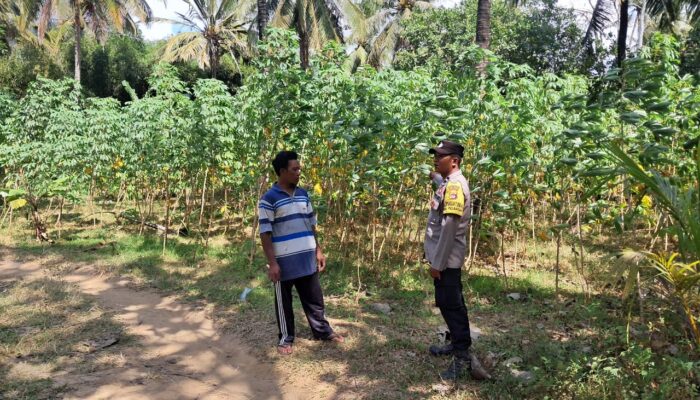 Polri Aktif Dukung Program Pangan Nasional Lewat Gerakan Pekarangan Desa Pelangan