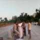Jagung Petani Gerung Lolos Uji Kualitas, Siap Diserap Bulog NTB