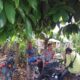 Bhabinkamtibmas Kuripan Ajak Petani Jagaraga Optimalkan Lahan Pekarangan