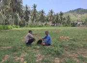 Bhabinkamtibmas Pelangan Gerakkan Warga Tanam Jagung untuk Ketahanan Pangan