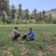 Sinergi Polri dan Warga Sekotong: Dari Jaga Kamtibmas ke Swasembada Pangan