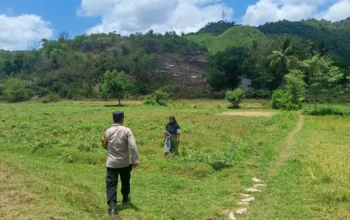 Bhabinkamtibmas Jadi Motor Ketahanan Pangan di Sekotong Barat