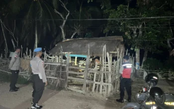 Polsek Sekotong Gencar Patroli Dini Hari, Fokus Amankan Ternak Warga