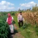 Bhabinkamtibmas dan Petani Bersatu Perkuat Ketahanan Pangan Lokal