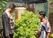 Optimalkan Lahan Kosong, Warga Senggigi Diedukasi Diversifikasi Pangan